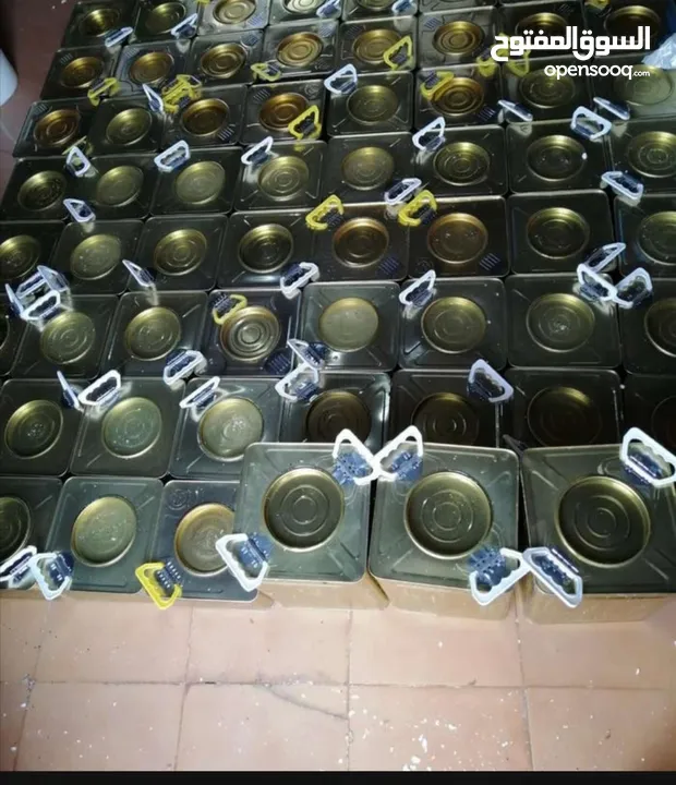 جبنه بيضاء بلدية