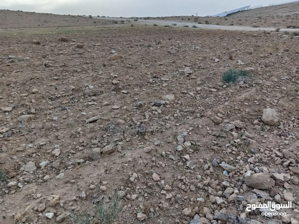 ارض للبيع طريق 100 بسعر مغري جداً