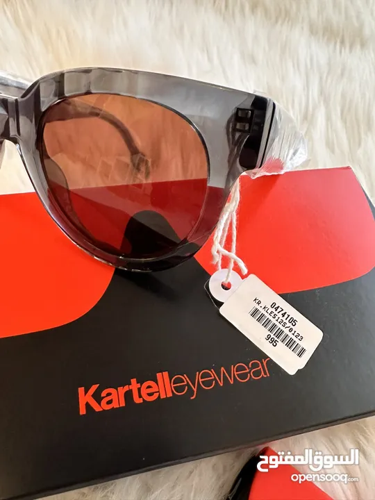 Kartell Sunglasses (Brown Frame)