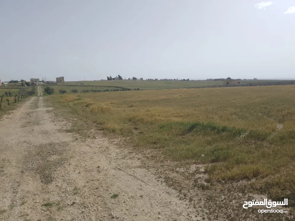 ارض للبيع أراضي جنوب عمان ارينبه الغربيه قطع اراضي زراعية مميزة 