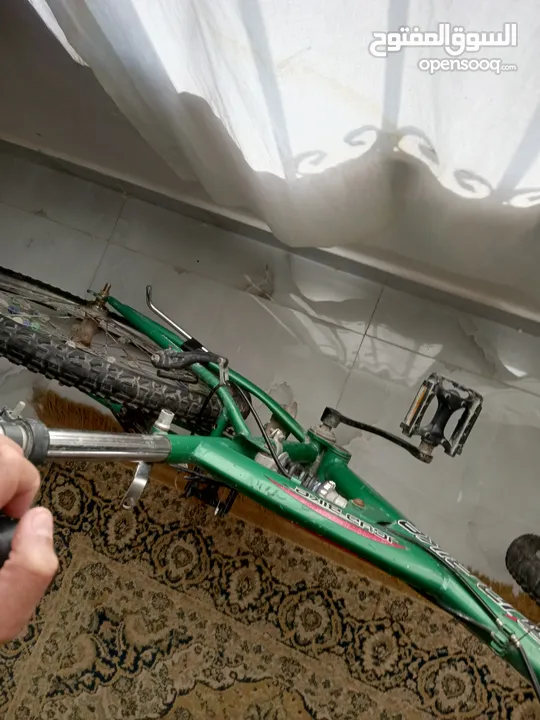 دراجة اوروبي  مستعمل