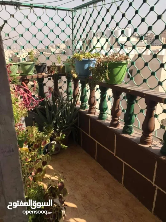 شقة للبيع من المالك طبربور