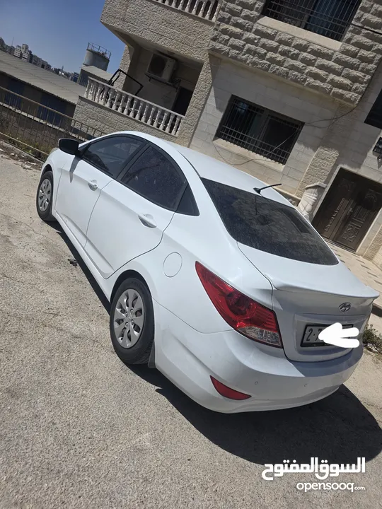 مهند شافعي شافعي