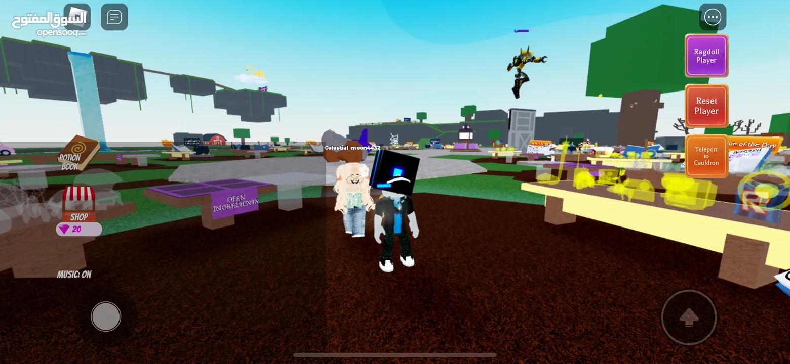 Cool Roblox account