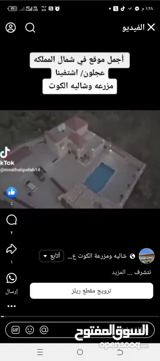 شاليه ومزرعة الكوت