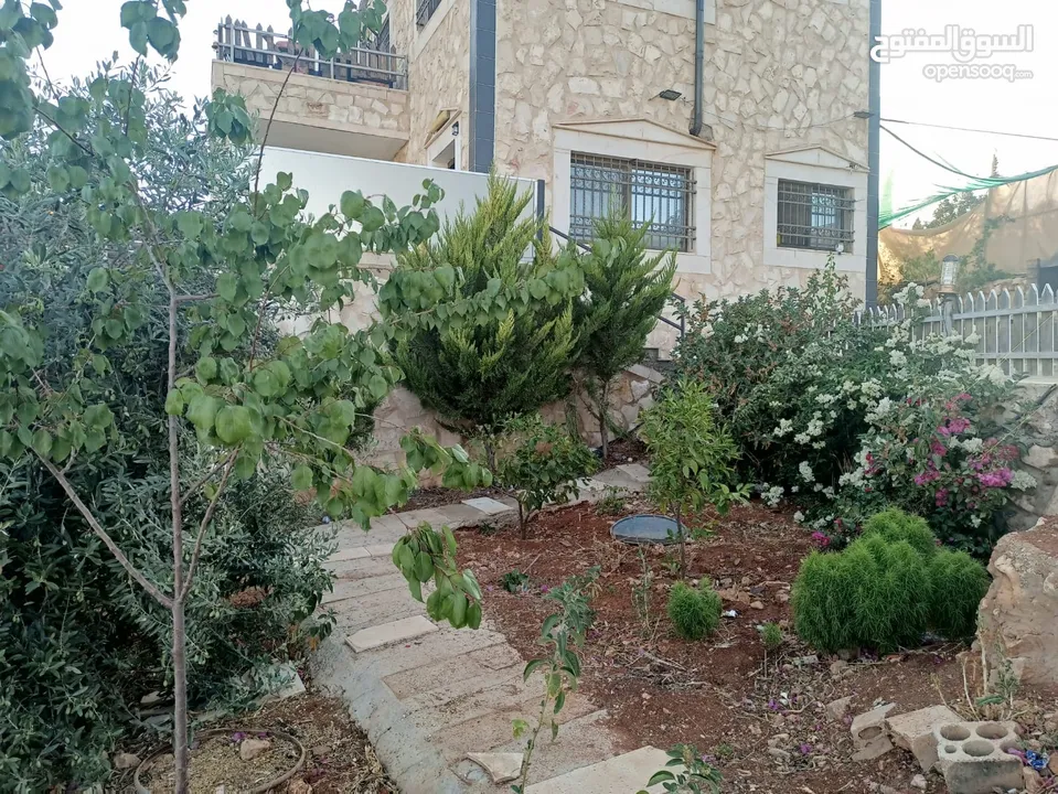 مزرعة العلياء للإيجار