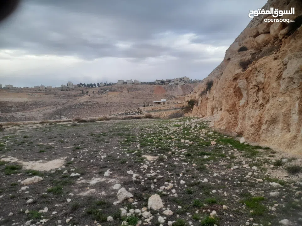 1800 م ارض طابو A الخليل دورا خرسه