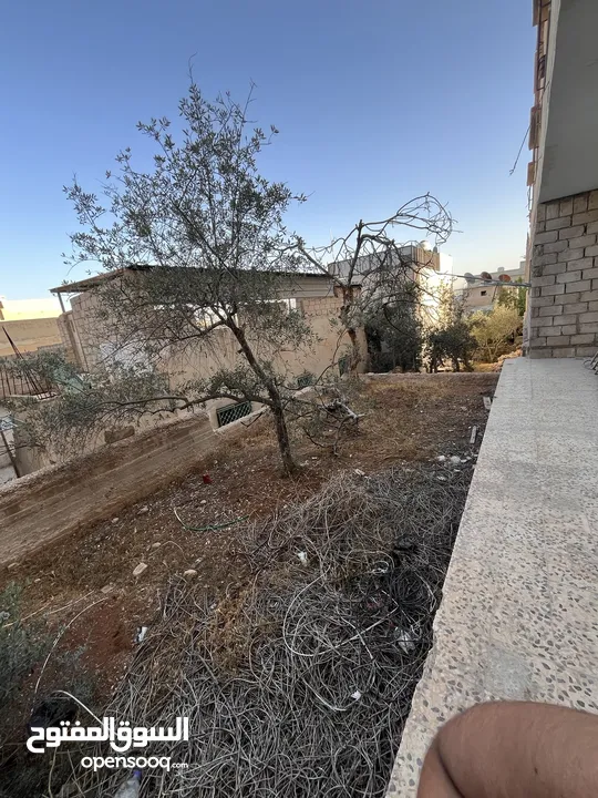 عمارة ثلاث طوابق + شقة ارضية عظم +تسوية  + كراج سيارات  للبيع