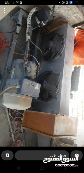 غرفة تجميد و تبريد للبيع