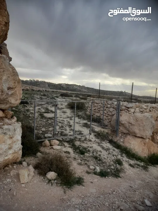 1800 م ارض طابو A الخليل دورا خرسه