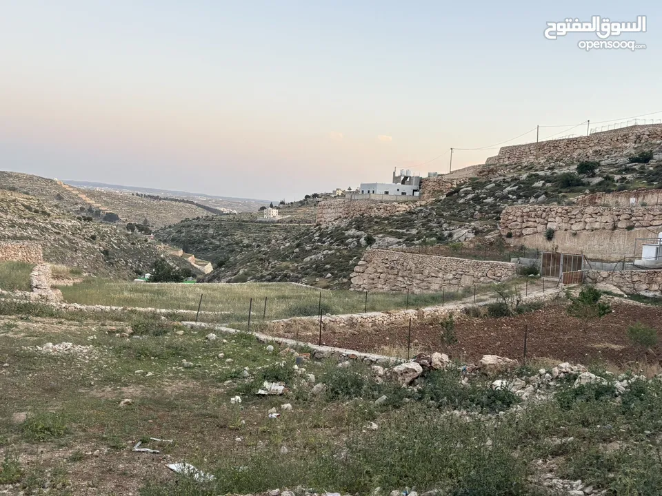 ارض في دورا منطقة الصرة تصنيف A طابو