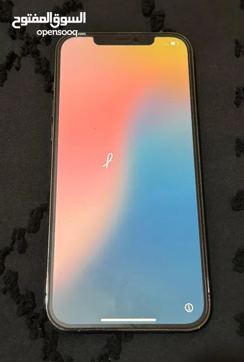 12 pro max