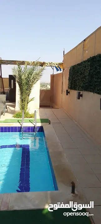 شاليه للايجار منطقه مطله جبل الروضه مطل ع البحر الميت وجبال فلسطين مسبح مغطى من اشعه الشمس