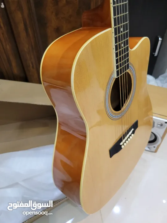 Acoustic Guitar