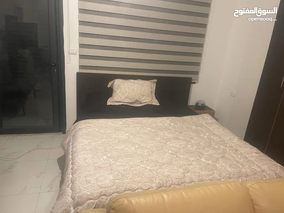 استوديو مفروش للايجار في المصيون قرب فندق الكرمل لموظفات فقط