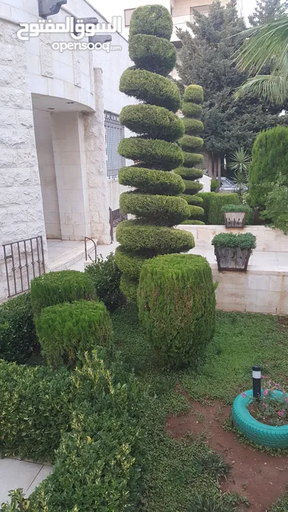 بستنجي// تنسيق الحدائق المنزلية