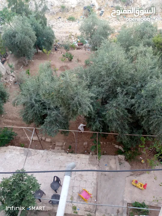 للبيع منزل مكون من طابقين بالإضافة إلى حديقة نصف دونم مشجر