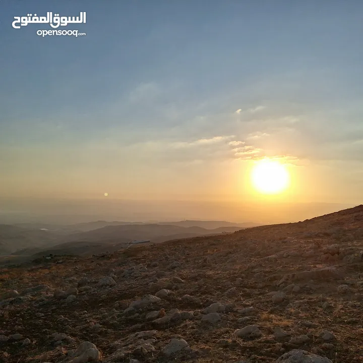 مطلوب أراضي للبيع في عمان الغربيه وما حولها