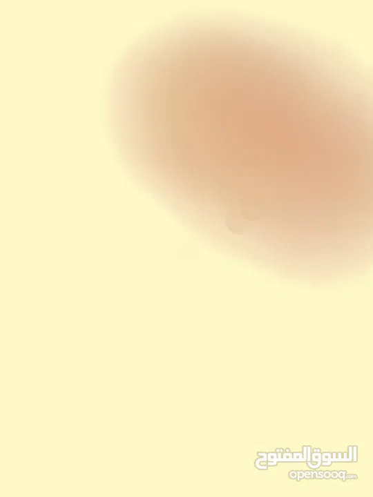 علاء سامر ت