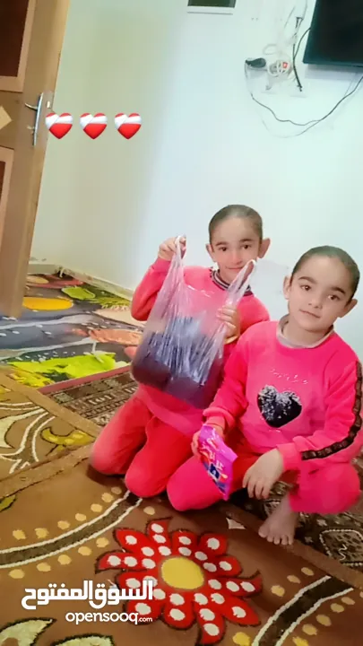 ليلي محمد عيسى شلالدة