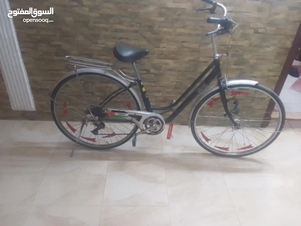 بسكاليت جيد سبق  27
