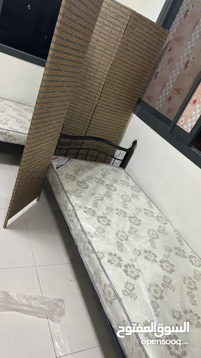 Executive bed space for rent in ewans in dip1 for Indians