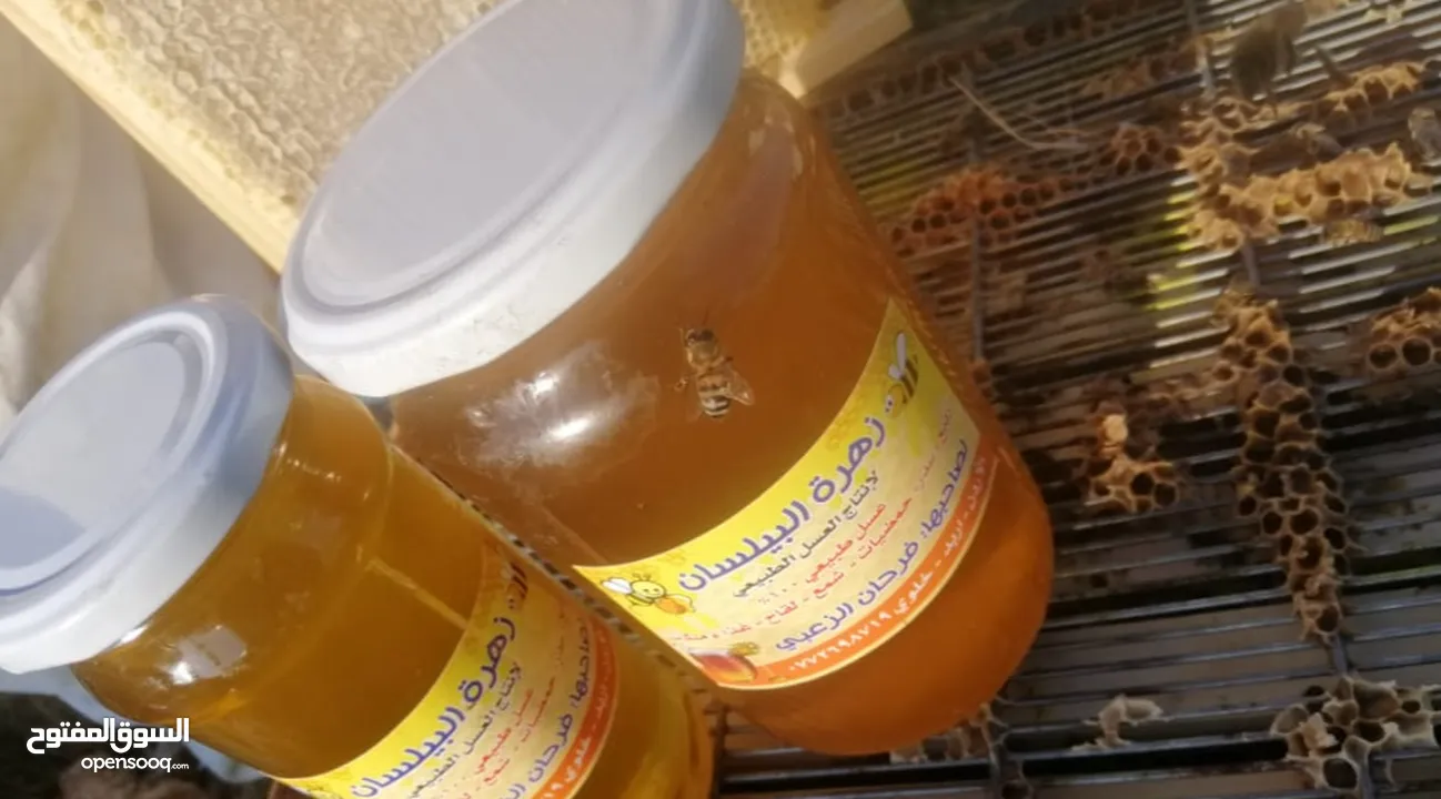 عسل طبيعي بلدي اصلي مضمون ومكفول 100٪؜ من مناحلنا