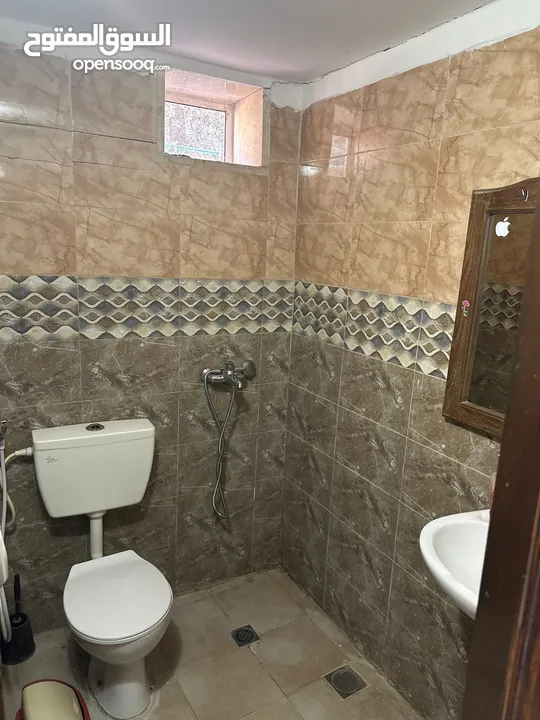 شقة للايجار