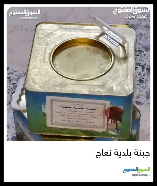 جبنة نعاج بلدية