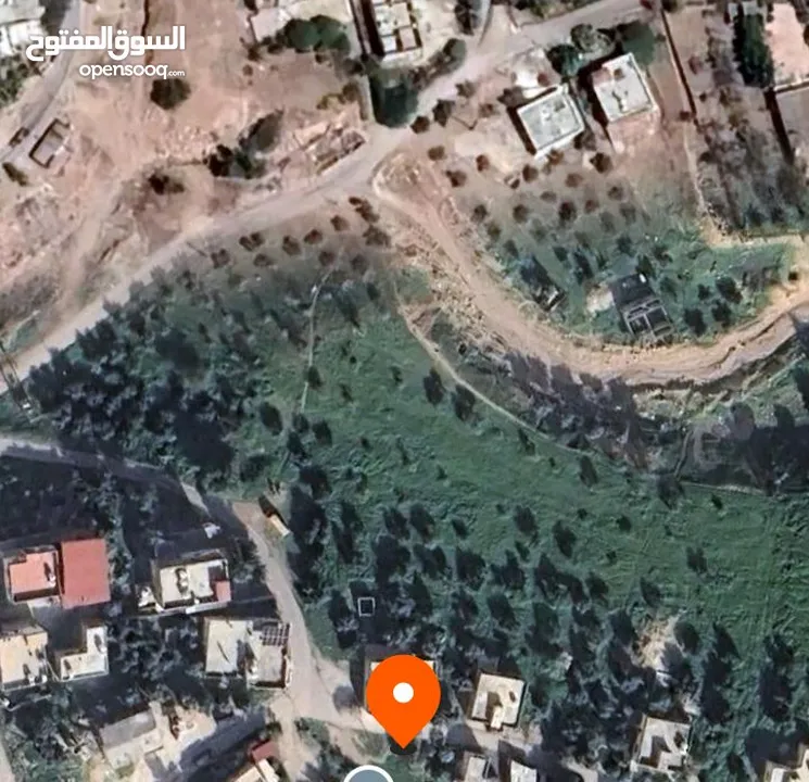 اراضي الاغوار الشماليه كريمه خمس دونمات 85000 والشره ما بقصر معه