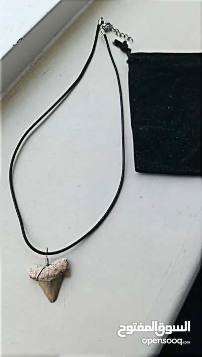 Italian silver necklace with wire wrapped ancient shark tooth fossil + free leather rope