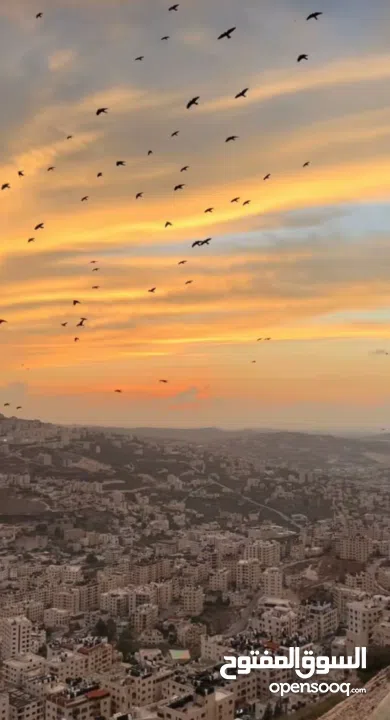 شقة سعر حرق من الآخر محدود لحق حالك