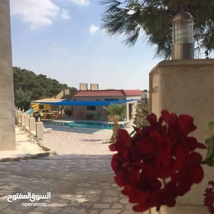مزرعة و شاليه للبيع قرب منتزه زي مدينة السلط