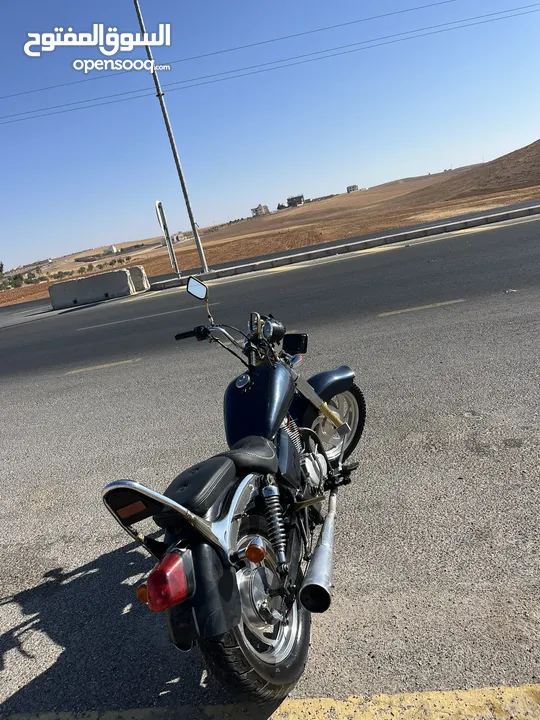 هارلي الجمل للبيع