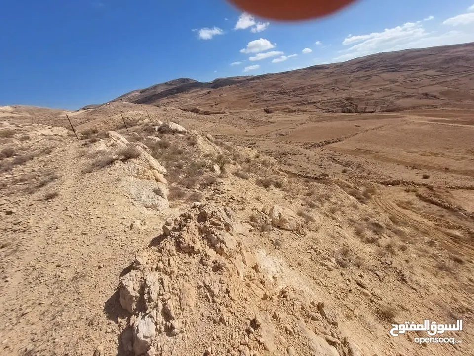 ارض زراعية للبيع