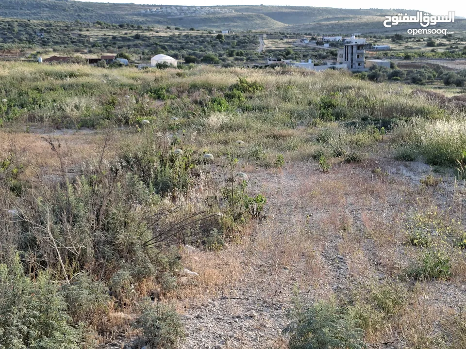 دونمين ارض طابوا فلسطنيني عاى الشارع الرئيسي مباشرة طولكرم الراس