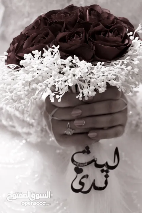 مصورات محترفات لحفلات السيدات ( السلط )