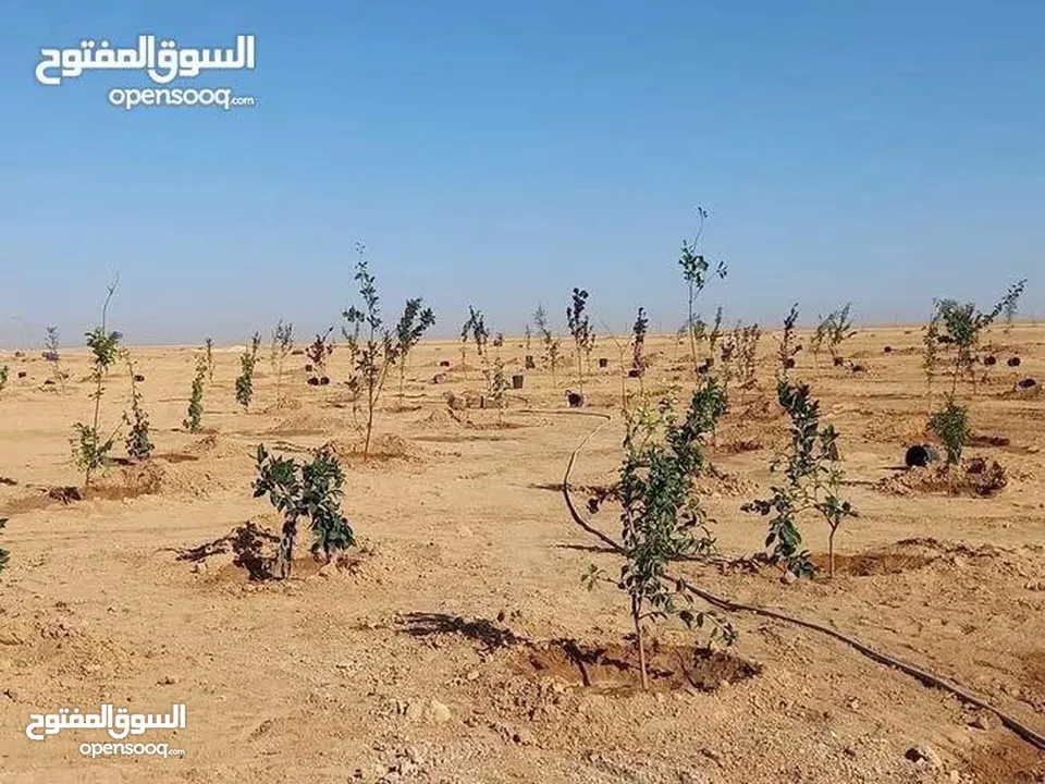 أرض ضمن كومباوند المطار 4 بمساحة 3600m للبيع بسعر حرق