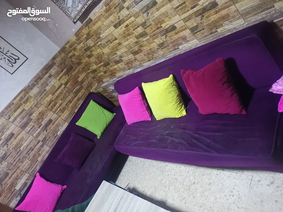 سجلونات حديد عدد تنين