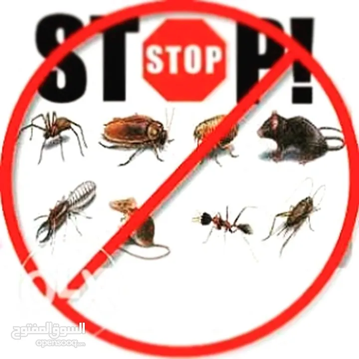 بدون روائح معالجة الحشرات مع ضمان يصل  10 سنوات (مساجد مجانا)