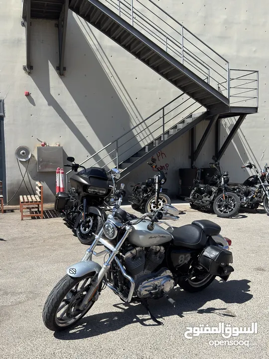Harley sportster XL883 L بحالة الوكاله وصيانة الشركه