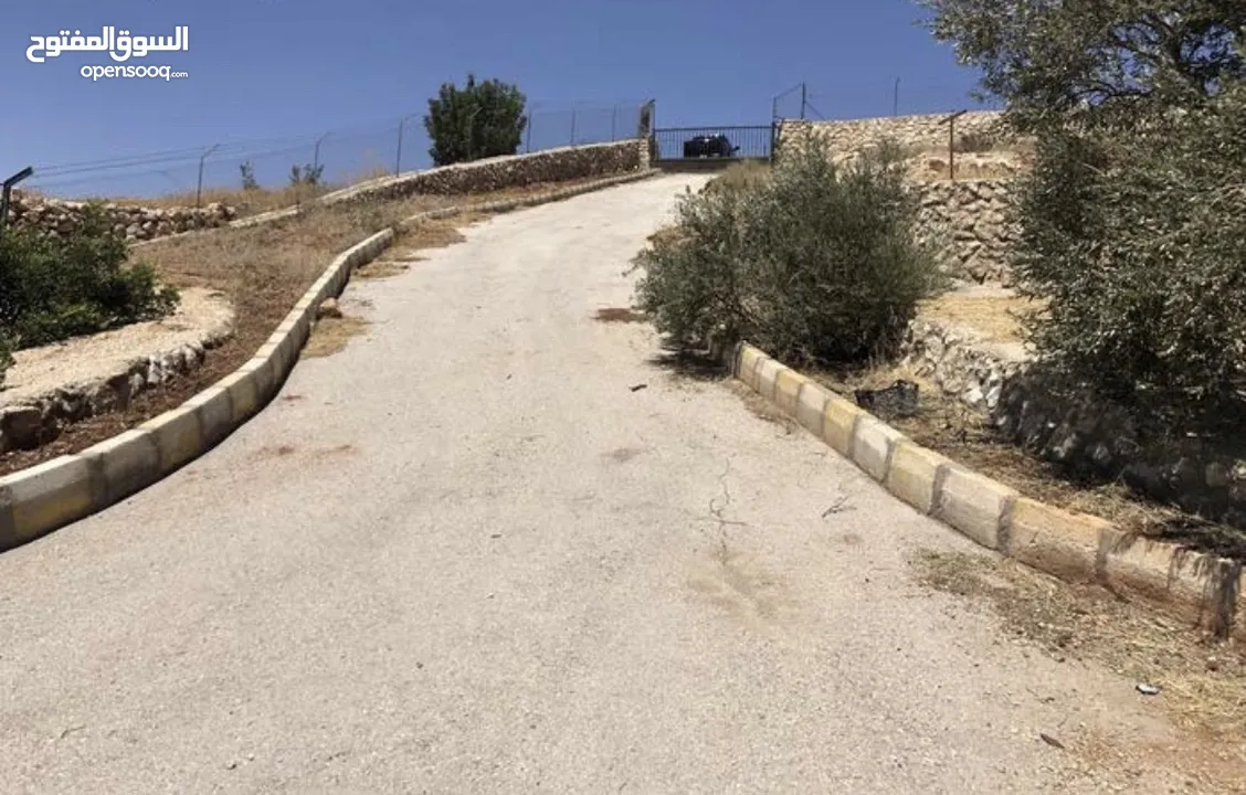 مزرعة للبيع في السلط