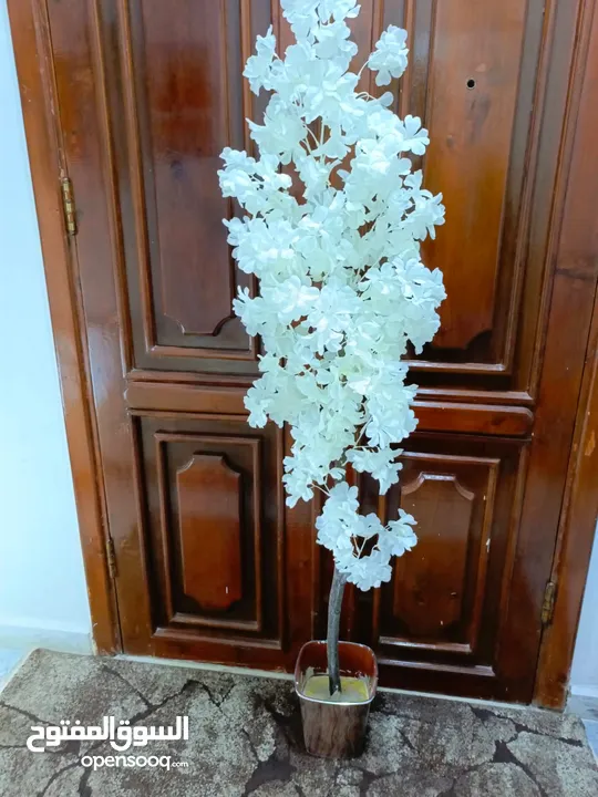 أشجار صناعي بجذع طبيعي شامل القوار