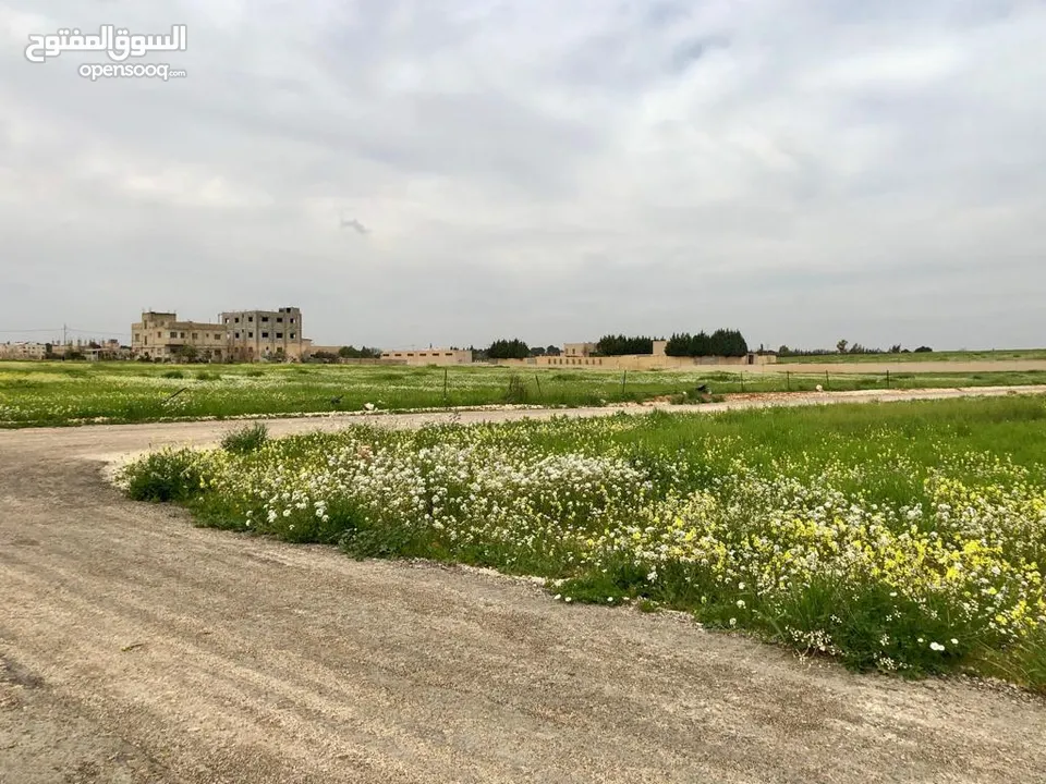 مطلوب قطع اراضي للبيع في شفا بدران