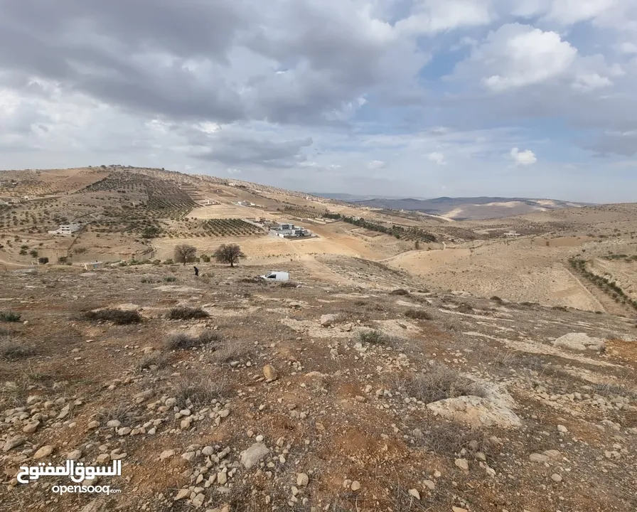 ارض زراعية ذات اطلالة رائعة للبيع في صروت السفوح تصلح لمزرعة او شاليه او للاستثمار أو إقامة منتجع