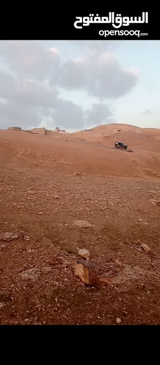 ارض للبيع في بيت لحم الشواورة تصنيف الف سلة