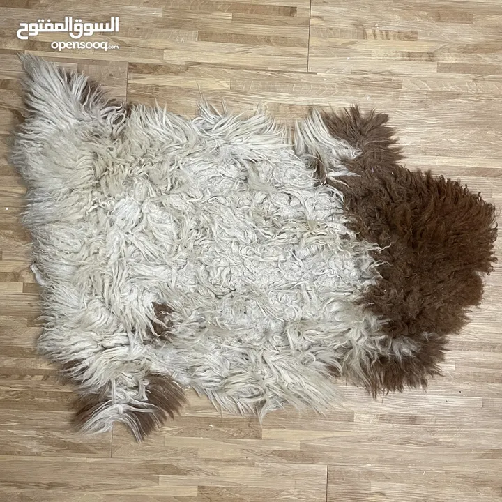 جلد خروف طبيعي ناعم الملمس