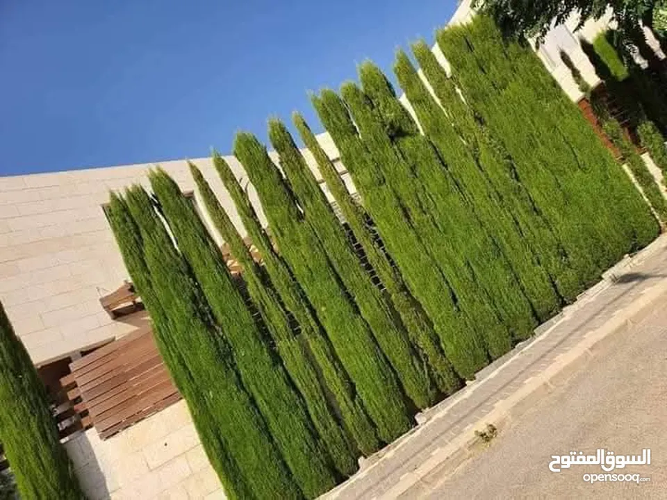 الحديقه والمنزل جميع انواع الاشجار المثمرة والأشجار الحرجيه ونباتات الزينة