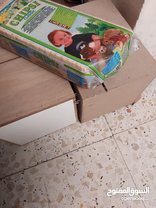 طائر كوكتيل للبيع