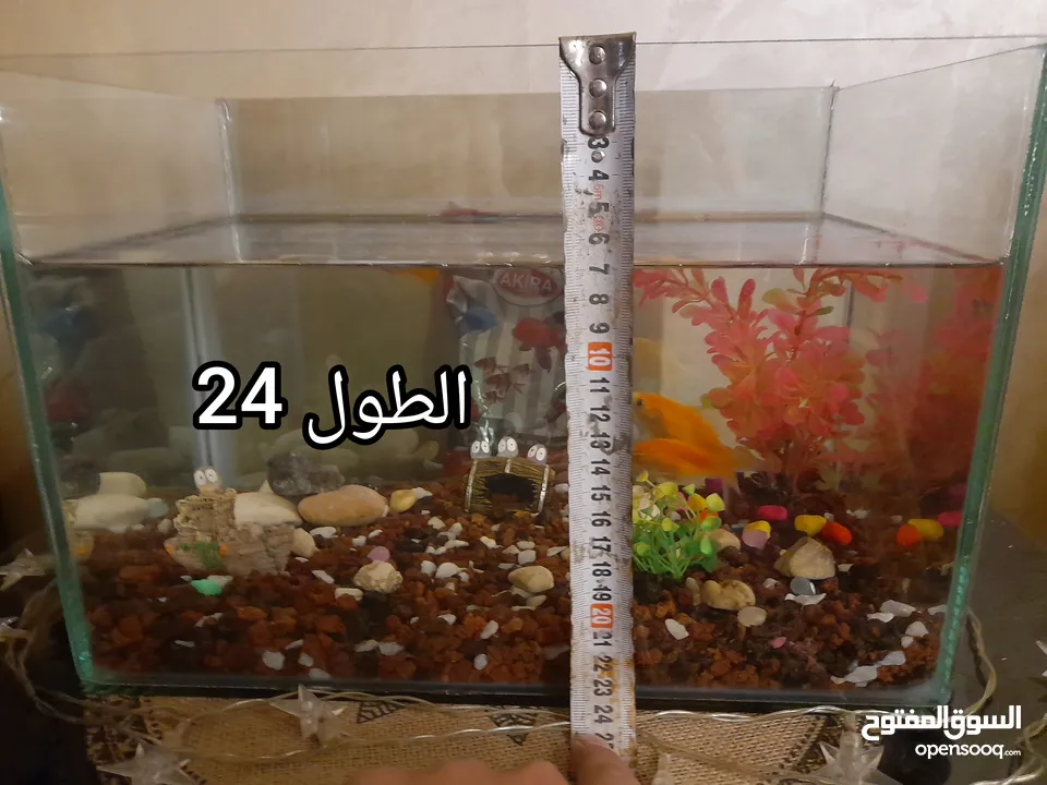 حوض سمك بسعر حرق اقرأ الوصف+عرض لفترة محدودة  بسعر حرق منافس للأخرين اقرأ الوصف